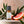 Desert Sage Pure Essential Oil Blend