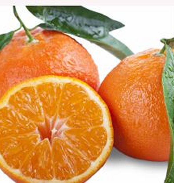 Orange Pure Essential Oil 10 ml.