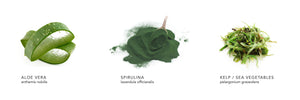 thebodydeli sea plasma raw ingredients