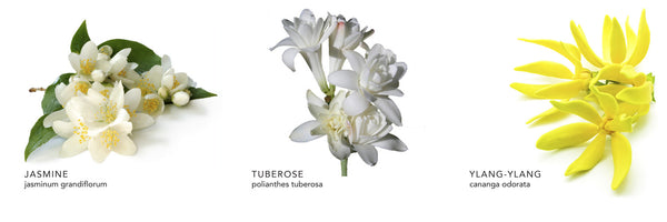 Jasmine Tuberose Lotion