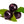the-body-deli-acai-berry-purple-fruit