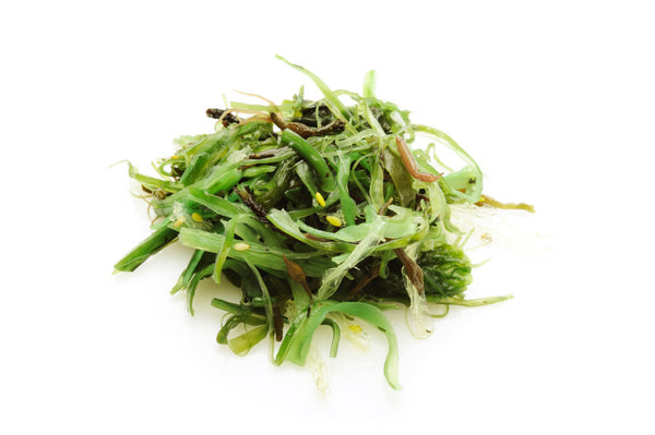 thebodydeli-sea-kelp