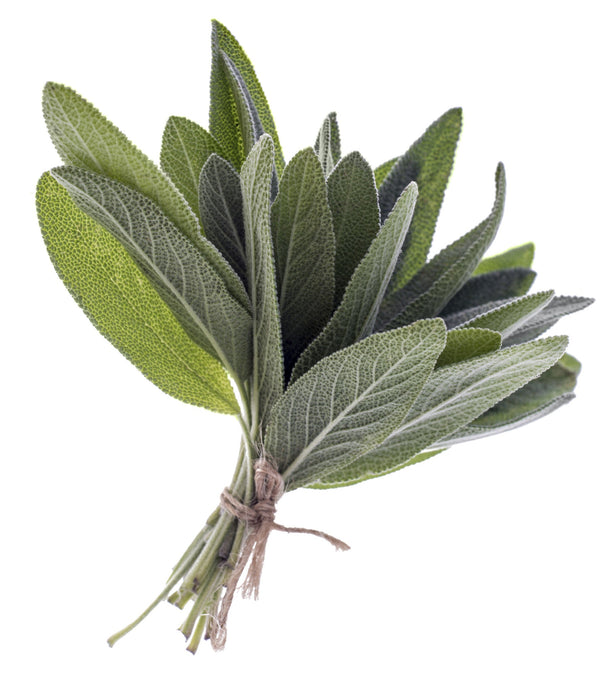 Sage Pure Essential Oil 10 ml.