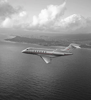 VistaJet collaborates with The Body Deli for fresh, live, raw in-flight amenity program.