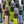 Pura-Mist Group Picture