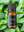 Peppermint Pure Essential Oil 10 ml.