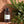 Eucalyptus Rosemary Body Oil