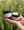 Eucalyptus Rosemary Hand & Body Cream