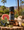 Coachella Honey Date Pure Essential Oil Blend
