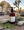 Desert Sage Lotion