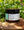 Moroccan Mint Hand & Body Cream