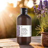 Lavender Chamomile Body Oil