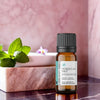 Moroccan Mint Pure Essential Oil Blend