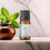 Moroccan Mint Pure Essential Oil Blend