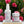 ROSE COLLECTION GIFT BOX