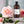 Rose Absolute Hand & Body Wash