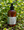 Moroccan Mint Lotion