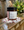 Rose Absolute Body Scrub