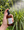 Thai Lemongrass Mist