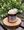 Jasmine Tuberose Body Scrub