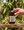 Amber Vanilla Body Oil