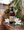 Amber Vanilla Hand & Body Wash