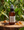 Amber Vanilla Mist