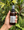 Amber Vanilla Mist