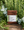 Eucalyptus Rosemary Botanical Bar Soap