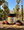 Coachella Honey Date Scrub