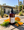 Sprouted Mineral Greens Lotion