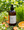 Sprouted Mineral Greens Lotion