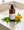Sprouted Mineral Greens Wash