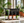 Sprouted Greens Travel Kit