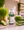 CUCUMBER JUICE ELIXIR (revitalizing)