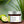 Thai Lemongrass Hand & Body Cream