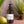 Thai Lemongrass Lotion