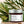 Eucalyptus Rosemary Hand & Body Cream