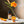 Citron Vanilla Pure Essential Oil Blend