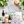CUSTOMER FAVORITES MINI KIT - Bestsellers
