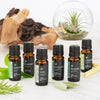Palm Springs Pure Essential Oil Blend