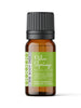 Palm Springs Pure Essential Oil Blend