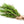 Eucalyptus Rosemary Pure Essential Oil Blend