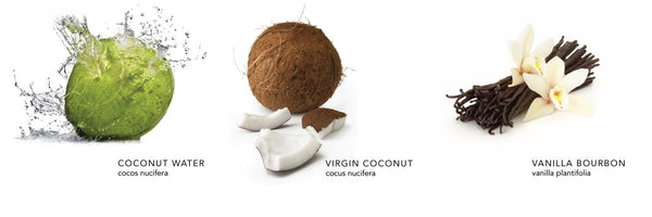 Coconut Créme Hand & Body Wash