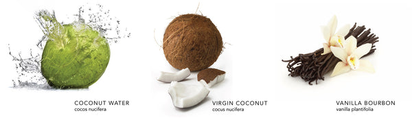 Coconut Créme Lotion