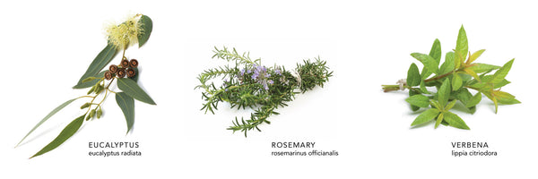 Eucalyptus Rosemary Mist