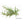 Moroccan Mint Body Oil