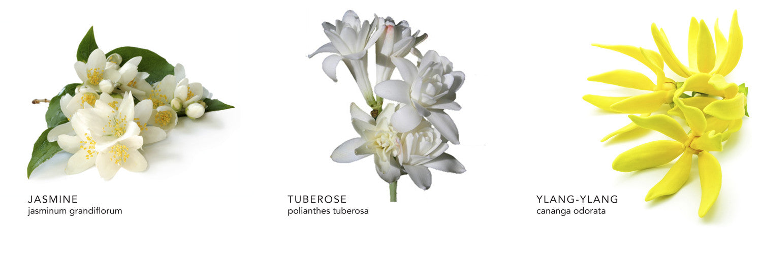 Jasmine Tuberose Pure Essential Oil Blend