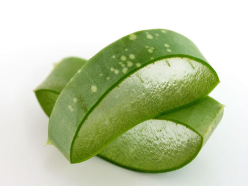 thebodydeli-aloe-vera-slices