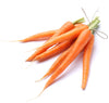 thebodydeli-organic-carrots